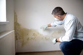 Best Mold Remediation for Rental Properties  in USA